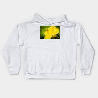 Close-up of Yellow Daylily 14 Kids Hoodie